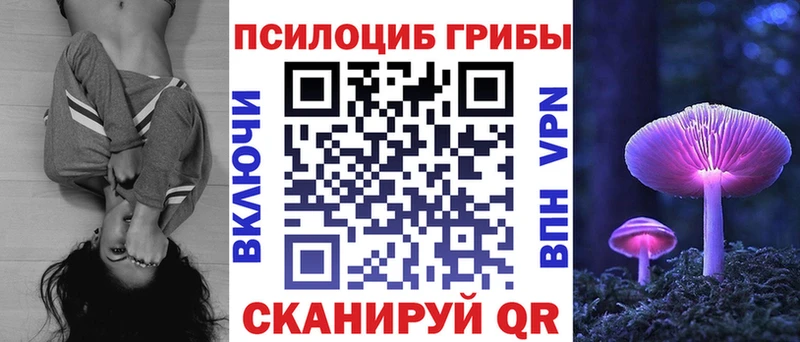 наркошоп  это наркотические препараты  Галлюциногенные грибы Psilocybine cubensis  Сим 